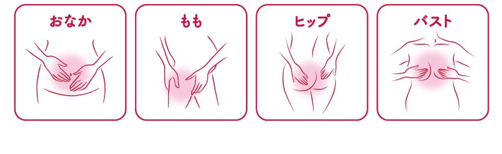 おなか（お腹）、バスト（胸・乳房）、ヒップ（お尻・臀部）、太もも（大腿部）