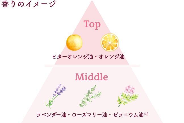 泡ボディソープ | 製品一覧 | 無添加せっけんとハーブのアラウ 泡ボディソープ | 製品一覧 | 無添加せっけんとハーブのアラウ