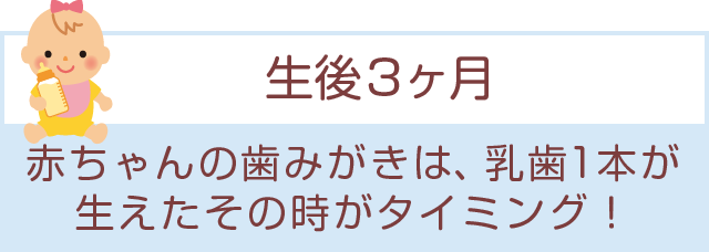 「生後3ヶ月」赤ちゃんの歯みがきは、乳歯1本が生えたその時がタイミング！