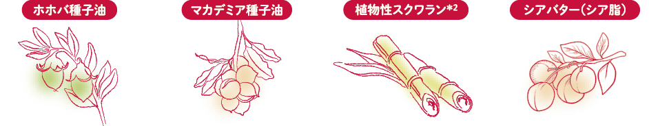 ホホバ種子油、マカデミア種子油、植物性スクワラン・シアバター(シア脂)